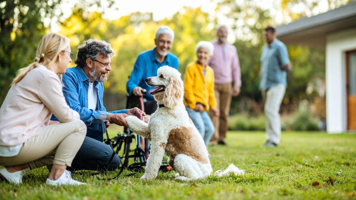 Allergy-Friendly Pups: Our Guide to Hypoallergenic Dog Breeds The Importance of Socialization and Training